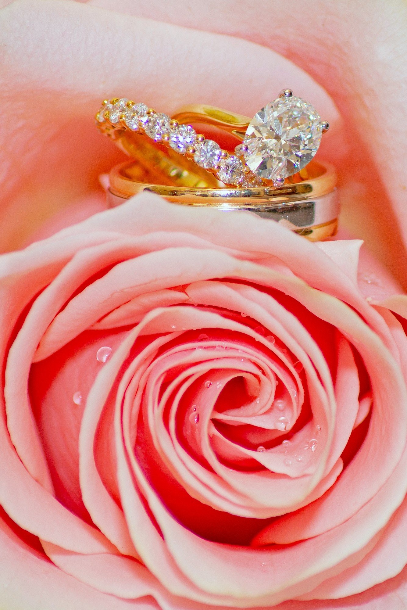 carousel-hero-element image-0