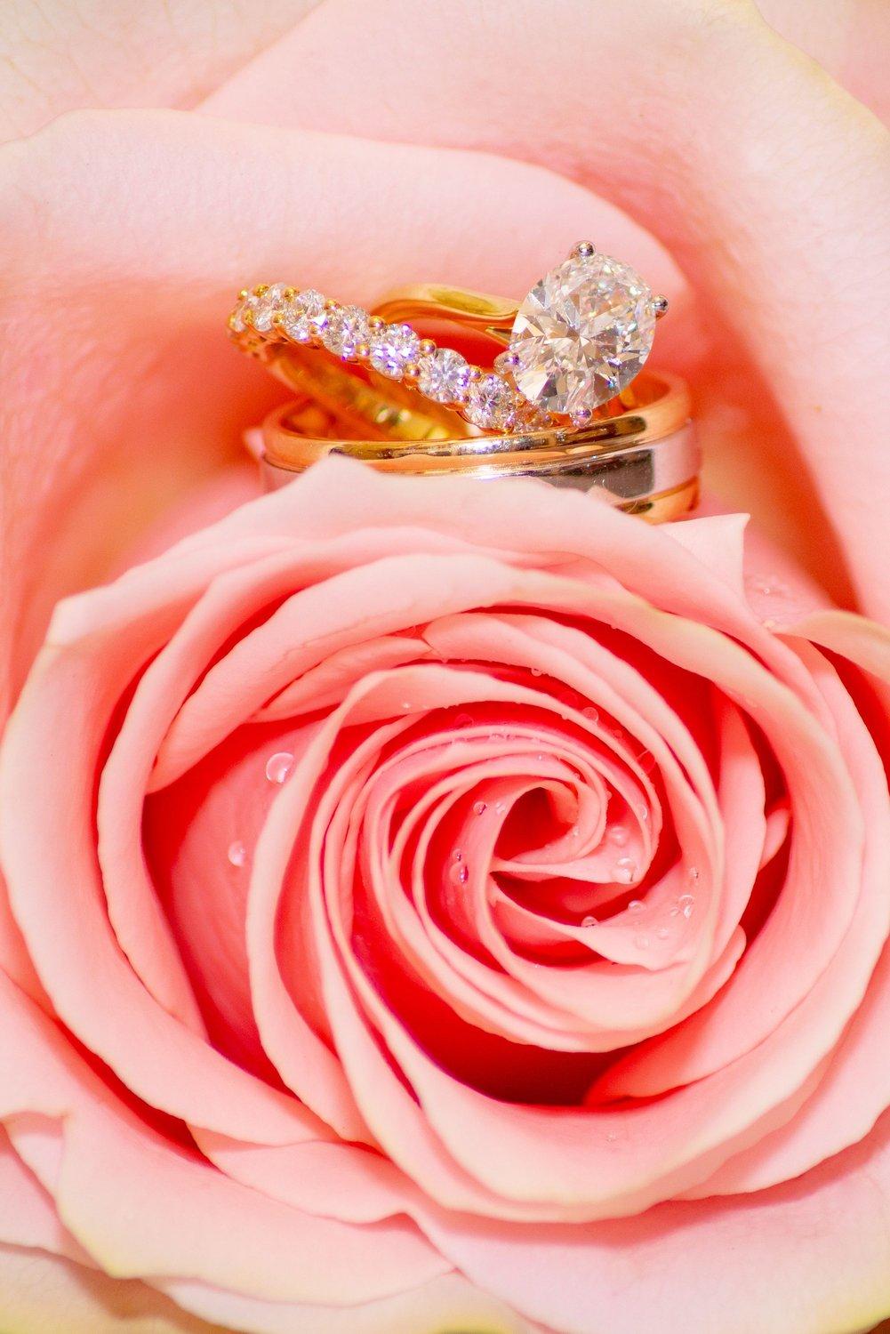 carousel-hero-element image-10