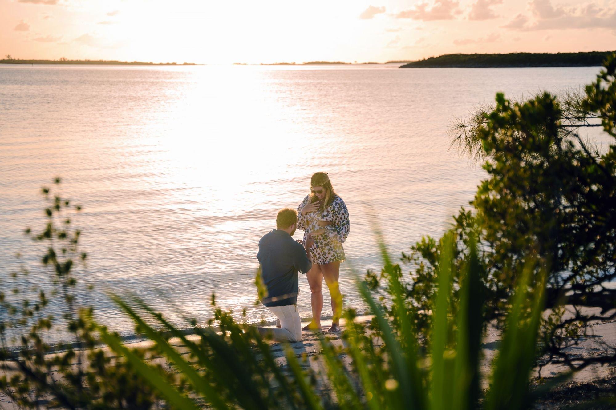 carousel-hero-element image-3