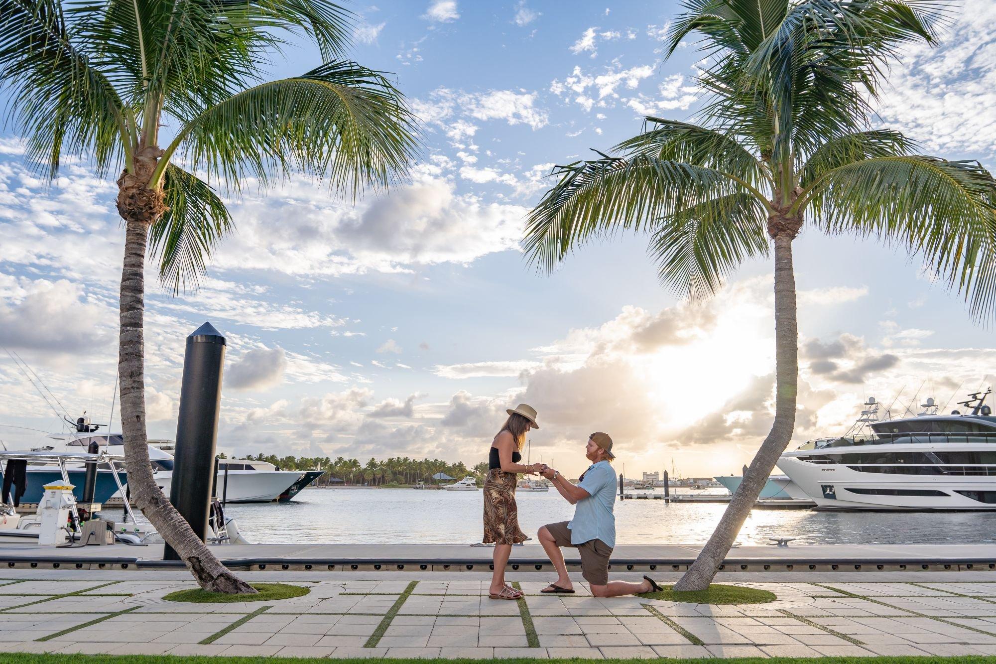 carousel-hero-element image-2